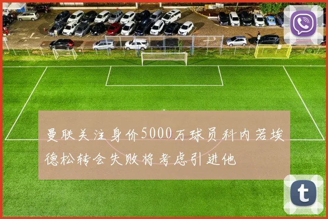 曼联关注身价5000万球员科内若埃德松转会失败将考虑引进他